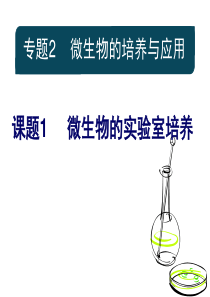 人教版选修1专题2课题1微生物的实验室培养(共41张PPT)