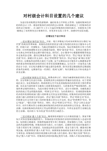 对村级会计科目设置的几个建议