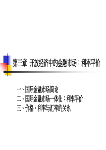 第三章开放经济中的金融市场利率平价2