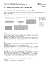 教师现实表现材料