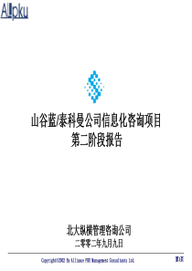 北大纵横--山谷蓝关键业务流程报告