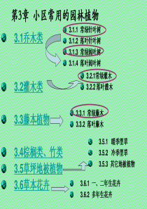 小区常用园林植物.