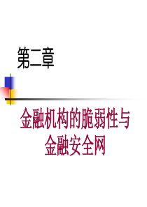 第二章金融脆弱性与金融安全网1