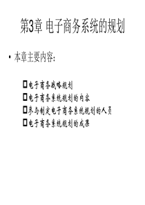 03电子商务系统的规划