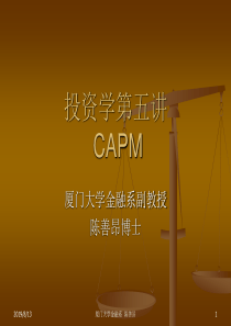 第五讲CAPM(投资学-厦门大学金融系,陈善昂)