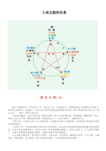 心肝脾肺肾的关系