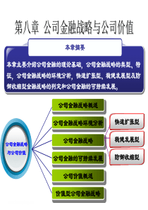 第八章公司金融战略与公司价值