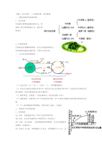 必修一知识点总结专题六 光合作用