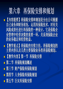 第六章 再保险安排和规划