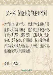 第六章保险业务的主要类别