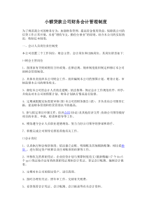 小额贷款公司财务会计管理制度