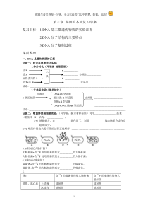 必修二第三章基因的本质基础知识复习提纲