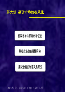 第六讲期货市场的有效性(金融工程-上海交大吴文锋)