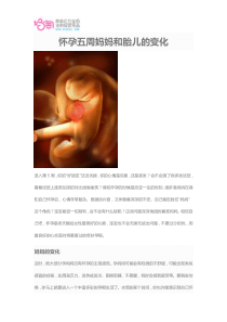 怀孕五周妈妈和胎儿的变化