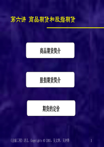 第六讲商品期货和股指期货(金融工程-上海交大吴文锋)