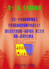 第十三章  生育保险制度