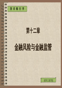 第十二章 金融风险与金融监管