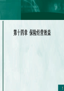 第十四章保险经营效益