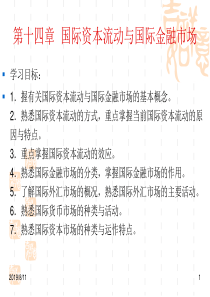 第十四章国际资本流动与国际金融市场