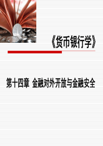 第十四章金融对外开放与金融安全