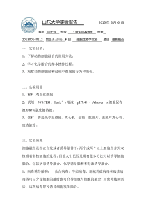 山东大学鸡血红细胞细胞融合