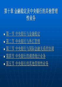 第十章金融稳定及