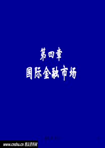 第四单元国际金融市场