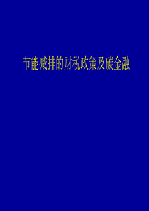 节能减排的财税政策及碳金融报告