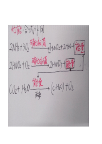 市场开发与营销专业市场营销实训考试试题