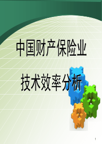 补充学习材料中国财产保险技术效率研究