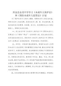 学习未成年人保护法计划