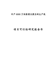 年产6000万块粉煤灰蒸压砖生产线项目可行性研究报告书