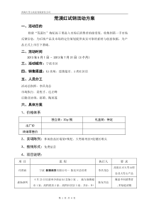 宁波试销方案(4)