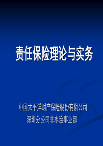 责任保险理论