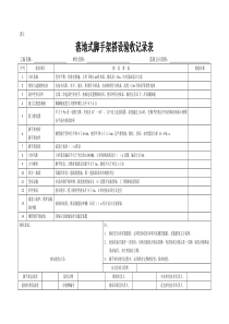 安全监理分项检查验收记录表格1-17