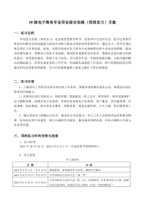 广东理工职业学院09级电子商务专业毕业综合实践(顶岗实习)方案