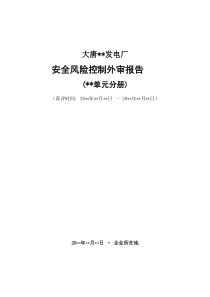 安全风险控制评估单元外审报告(模板)