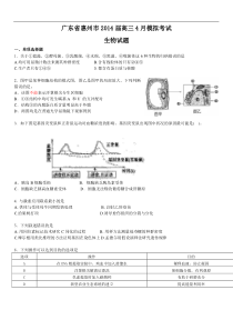 广东省惠州市2014高三4月模拟考试