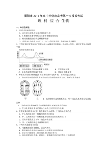 广东省揭阳市2015年高中毕业班高考第一次模拟考试理综生物试题含答案