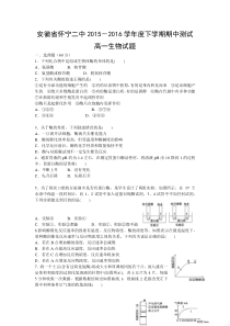 安徽省怀宁二中2015-2016学年度下学期期中测试高一生物试题