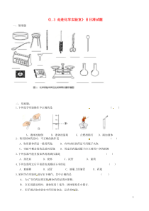 广东省河源市中英文实验学校九年级化学上册《13走进化学实验室》日日清试题