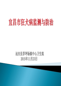 宜昌市狂犬病防制与问题分析.