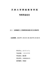 宝钢集团人力资源管理问题分析及对策研究