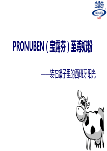 宝露芬(PRONUBEN)至尊奶粉装在罐子里的西班牙阳光