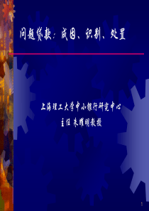 金融专题问题贷款成因、识别、处置(1)