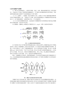 外红光谱作业