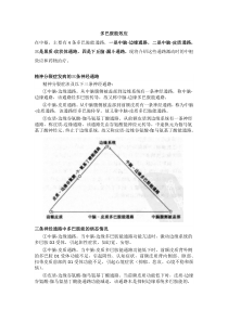 多巴胺通路