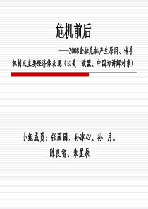 金融危机传导机制及后危机时代主要经济体表现