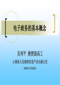 a电子政务的基本概念