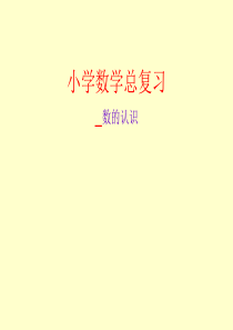 小学数学总复习.